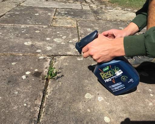 Spraying weed with weedkiller